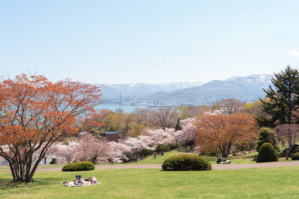 Άποψη του πάρκου Otaru Temiya με άνθη κερασιάς της άνοιξης στο Hokkaido, Ιαπωνία - Φωτογραφία, εικόνα