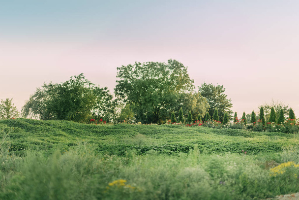 Landscape, green field, bright sky, sunset - Fotoğraf, Görsel