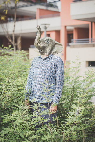 elefante máscara homem absurdo
 - Foto, Imagem