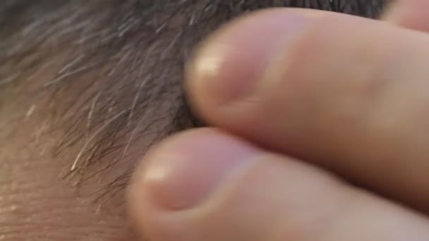 Zbliżenie mężczyzny badającego swoje siwe włosy. Zmartwiony młody facet studiuje siwe włosy i problem utraty włosów. - Materiał filmowy, wideo