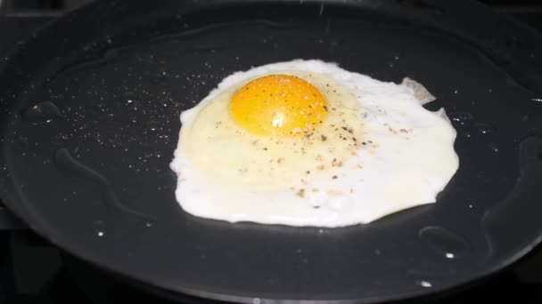 Kananmunan keittäminen pannulla. Mausteet putoavat paistetun munan päälle. Kuuma, maukas aamiainen, lounas. - Materiaali, video