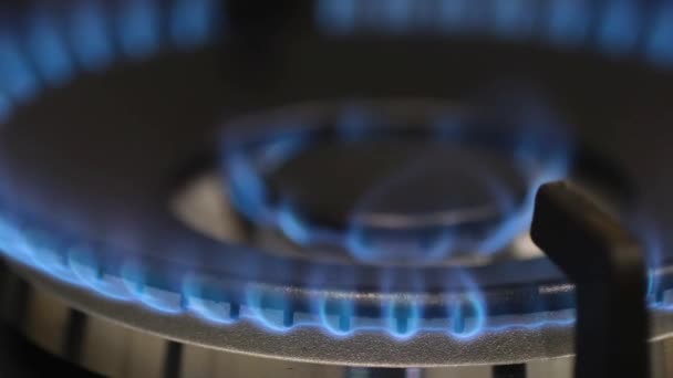 Primer plano del fuego azul de la estufa de cocina interior. Una estufa de gas con llama ardiente de gas natural - Imágenes, Vídeo