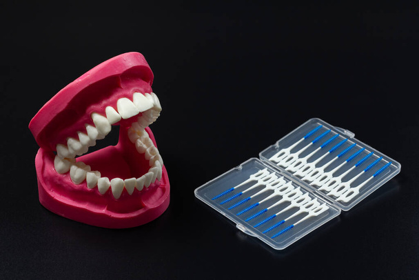Διάταξη της ανθρώπινης γνάθου με σιλικόνη interdental οδοντόβουρτσες οδοντογλυφίδα στο μαύρο φόντο. - Φωτογραφία, εικόνα