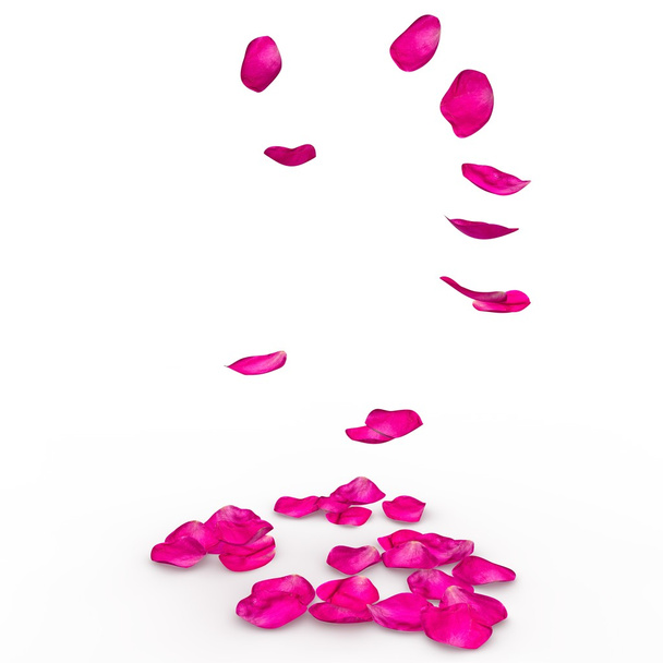 a padló esik Rózsaszirmok - Fotó, kép