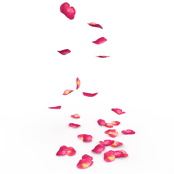 Petals of roses fall on a floor - Photo, Image