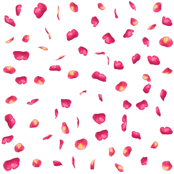 a padló esik Rózsaszirmok - Fotó, kép