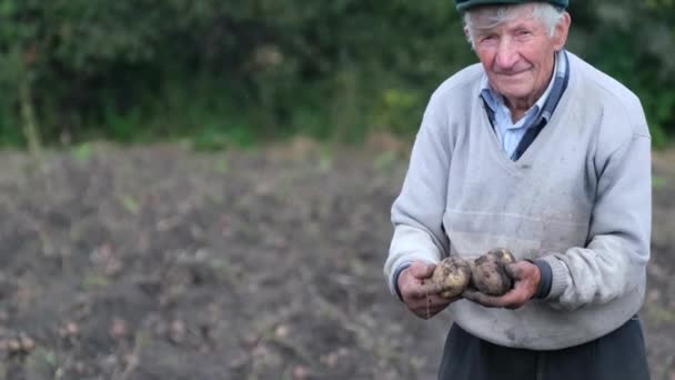 Kendi bahçenizden patates toplayın. Yaşlı yorgun bir büyükbaba yerde duruyor ve patates gösteriyor. Yaşlıların işi. - Video, Çekim