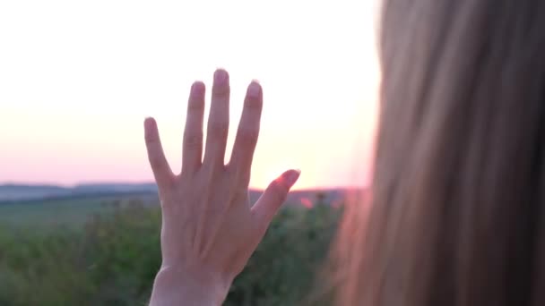 Una giovane donna tiene la mano su un bellissimo tramonto in un campo. 4k video - Filmati, video