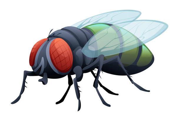 Cute fly cartoon illustration isolated on white background - Vector, Image