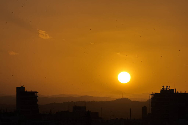 Murcia 'da güzel ve renkli gün batımı - Fotoğraf, Görsel