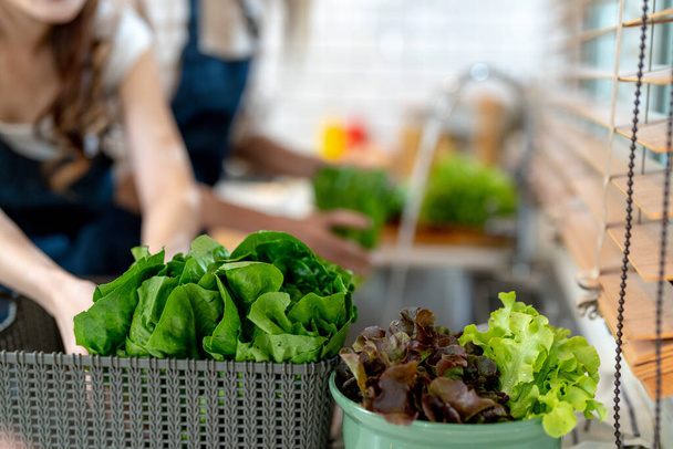 chiudere le mani preparare cibi sani con verdure da insalata.Il cibo dieta pulita da prodotti e ingredienti locali Mercato fresco. - Foto, immagini