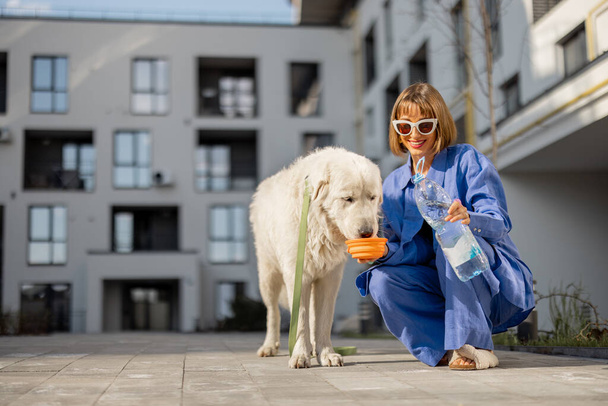 Νεαρή γυναίκα δίνει νερό για να πιει σε φορητό waterer για το σκύλο της κατά τη διάρκεια μιας βόλτας στην εσωτερική αυλή της πολυκατοικίας. έννοια της φροντίδας των ζώων συντροφιάς - Φωτογραφία, εικόνα