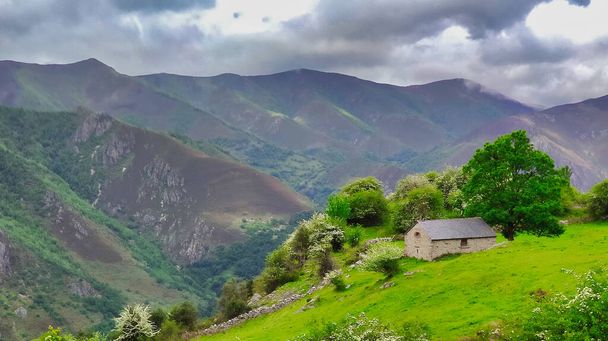 Brana El Monteflock of shepherds, Parc naturel et réserve de biosphère de Somiedo, village de Cores, Asturies, Espagne, Europe - Photo, image