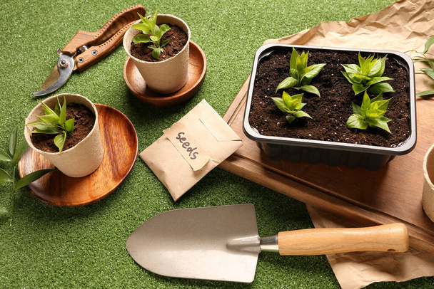 Balení se semínky, sazenicemi a zahradnickými nástroji na zeleném pozadí - Fotografie, Obrázek