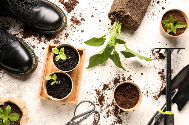 Potes de turfa com mudas verdes, sapatos e ferramentas de jardinagem no fundo claro - Foto, Imagem