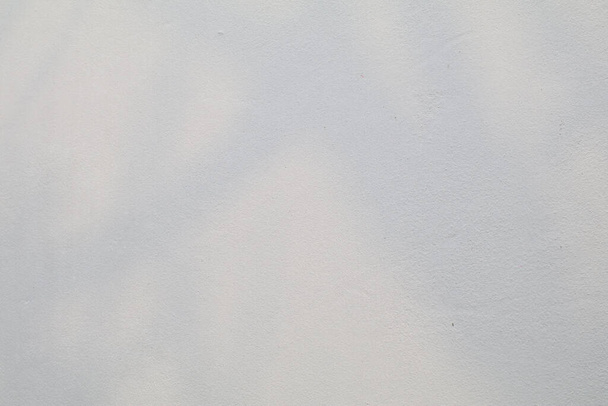 Deixa sombra e galho de árvore na parede branca luz de fundo da luz solar dappled. Luz natural turva realista e minimalista - Foto, Imagem