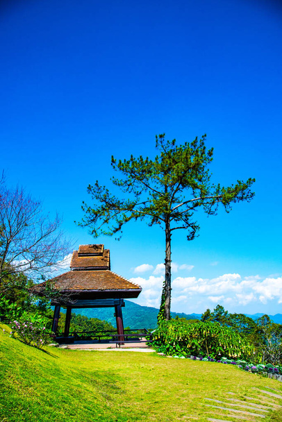 Odpočinkový dům s borovicí v Doi Kiew Lom view point v Huai Nam Dang National Park, Thajsko. - Fotografie, Obrázek