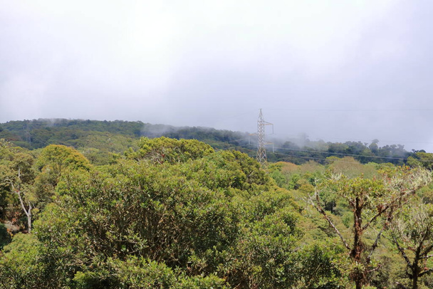 view of the high altitude cloud forest near Cerro de La Muerte. Talamanca Mountains, Costa Rica - Photo, Image