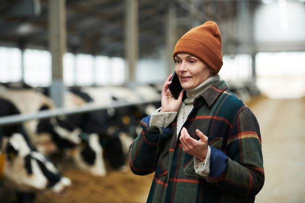 Empreendedora bonita em workwear falando no smartphone com serviço de entrega de forragens enquanto está contra o vaqueiro com gado - Foto, Imagem