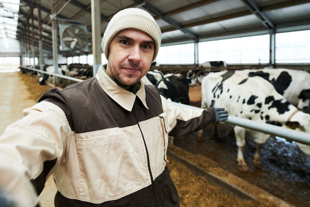 Jeune ouvrier ou propriétaire d'une ferme de vache moderne faisant la présentation en ligne de la nouvelle race de vaches laitières pendant livestream - Photo, image