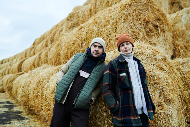 Δύο νέοι με αυτοπεποίθηση εργάτες της σύγχρονης φάρμας σε casualwear κοιτάζοντας την κάμερα, ενώ στέκεται δίπλα σε μια τεράστια στοίβα από φρέσκο σανό στη χώρα - Φωτογραφία, εικόνα