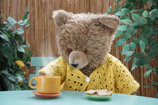 A Teddy bear having a steaming hot drink and cookies seated at a table. Orange cup and saucer. Cookies in a green plate. A reed screen and plants in the background. - Foto, imagen