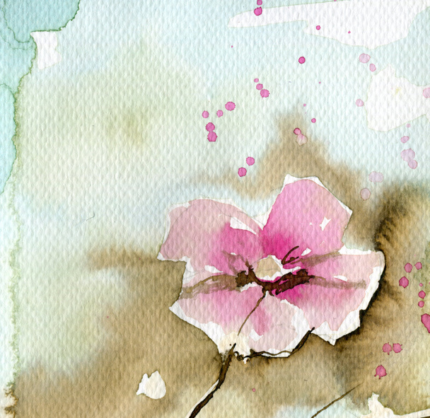 růžové květy - Fotografie, Obrázek