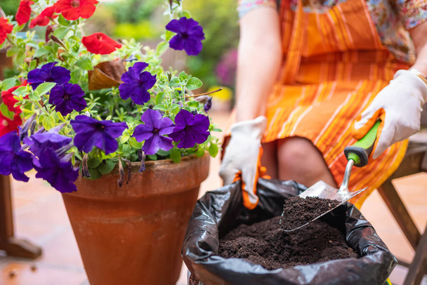 Ženy ruce dávat kompost půdy v květináči s květinami v zahradě svého domu - Fotografie, Obrázek