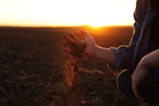 Male farmer's hand holds a handful of dry ground and checks soil fertility and quality before sowing crops on plowed field at sunset. Cultivated land. Concept of organic agriculture and agribusiness. - Fotoğraf, Görsel