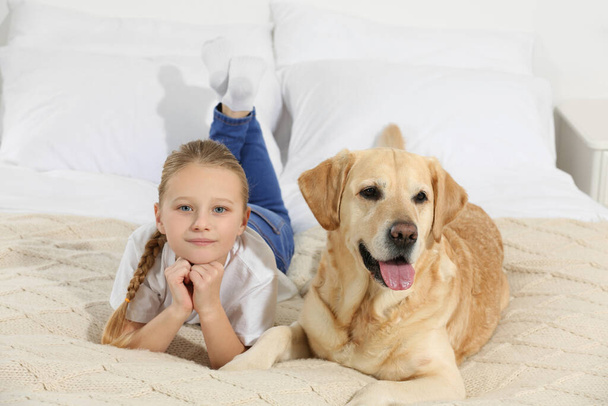 Cute child with her Labrador Retriever on bed at home. Adorable pet - Foto, afbeelding