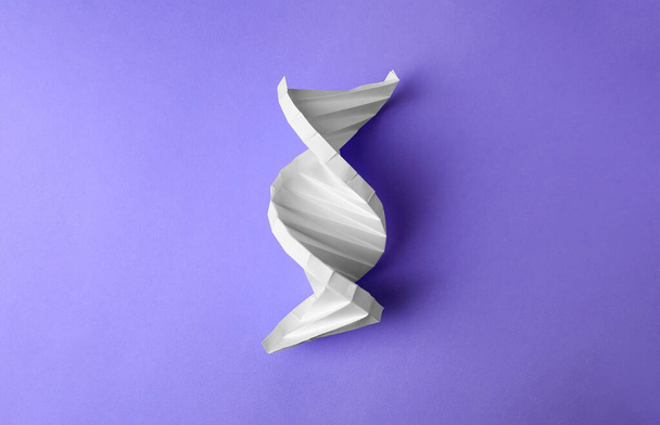 Paper model of DNA molecular chain on violet background, top view - Фото, изображение