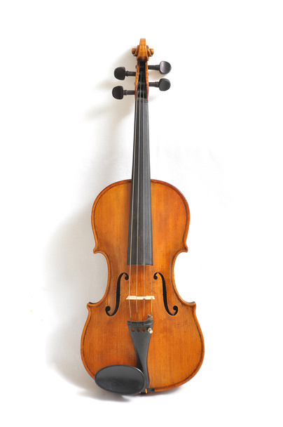 Neck of a violin - Foto, imagen