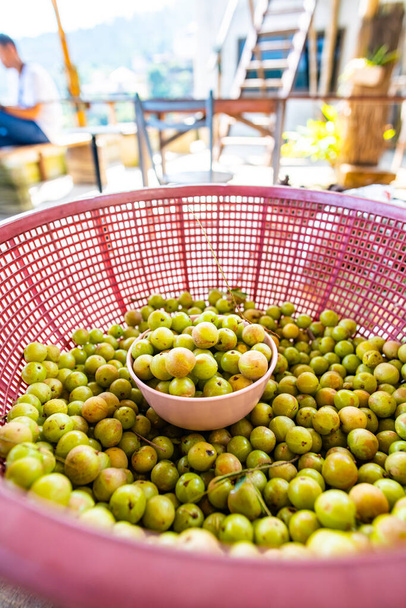 Emblica fruit in the basket, Thailand. - Foto, Imagen