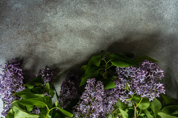 Wiosna płaska leżała ze świeżymi liliowymi kwiatami na betonowym tle - Zdjęcie, obraz