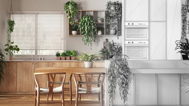 Architect interior designer concept: hand-drawn draft unfinished project that becomes real, minimal wooden kitchen. Biophilic concept, houseplants. Urban jungle interior design - Photo, Image
