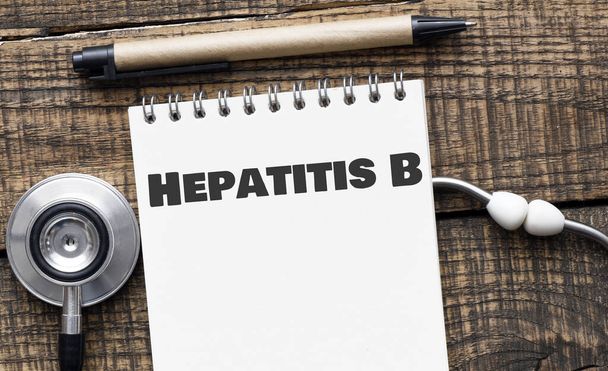Hepatitis B in a notebook next to a stethoscope. - 写真・画像