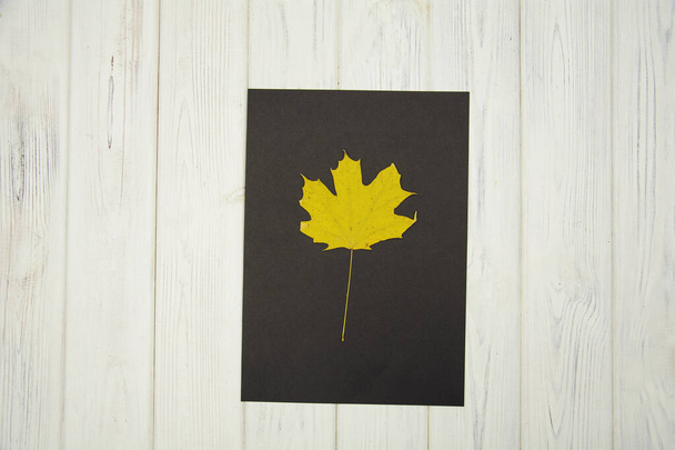 кленовый лист с осенними листьями, окрашенный на деревянном полу - Фото, изображение