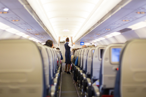 Stewardess on the airplane. - Photo, Image