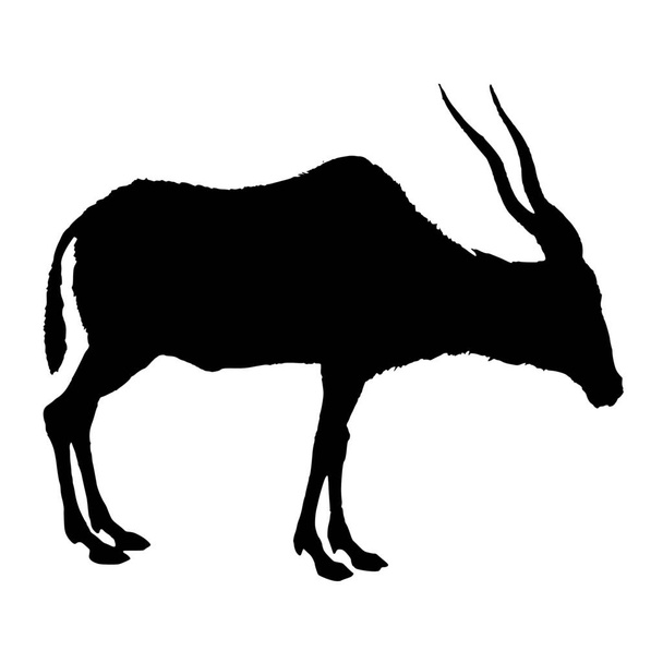 Vector silhouette of antelope on white background - Vector, Image