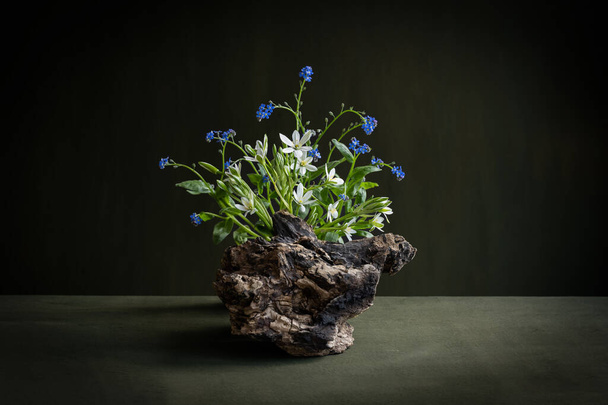 Delicate bouquet. Ikebana. Spring. Flowers. Minimalistic bouquet. White and blue flowers. Ornithogalum. Myosotis. Snag. - Photo, image
