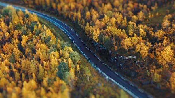 Pojedynczy samochód podąża wąską asfaltową drogą otoczoną jesiennym lasem. Widok z lotu ptaka. Wysokiej jakości materiał 4k - Materiał filmowy, wideo