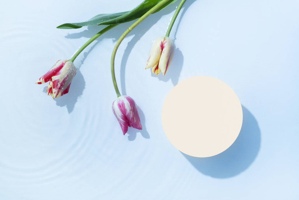 Podium ou piédestal avec ondulation d'eau et tulipes à plat, vue de dessus. Modèle cosmétique, espace de copie. - Photo, image