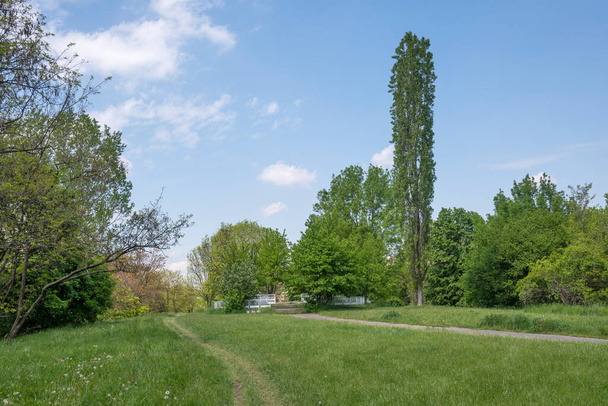 ブルガリアのソフィア市にある南公園の素晴らしい春の景色 - 写真・画像