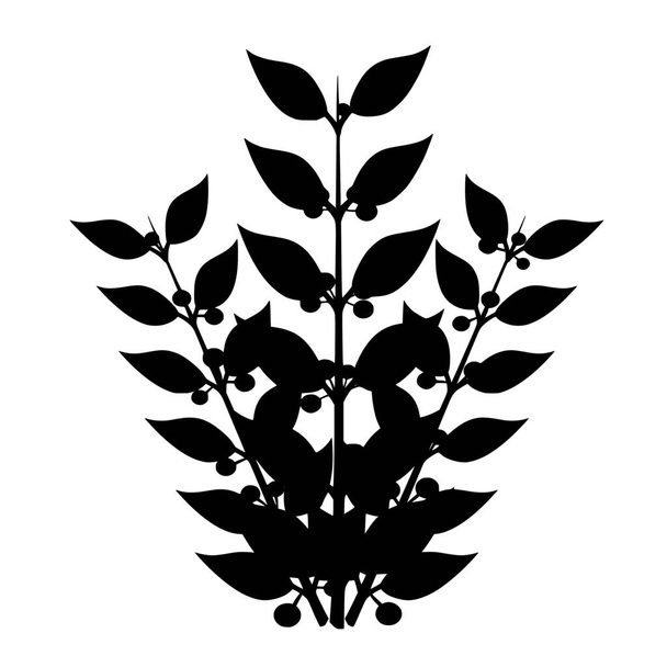 Silueta vektor květů na bílém pozadí - Vektor, obrázek