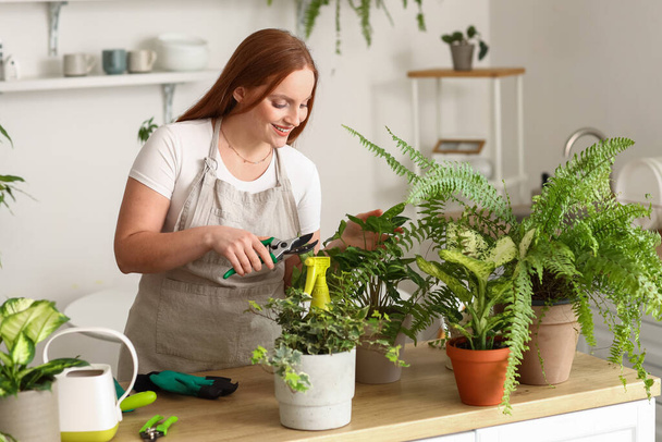Mujer joven con podadora y plantas de interior verdes en la mesa en la cocina - Foto, Imagen