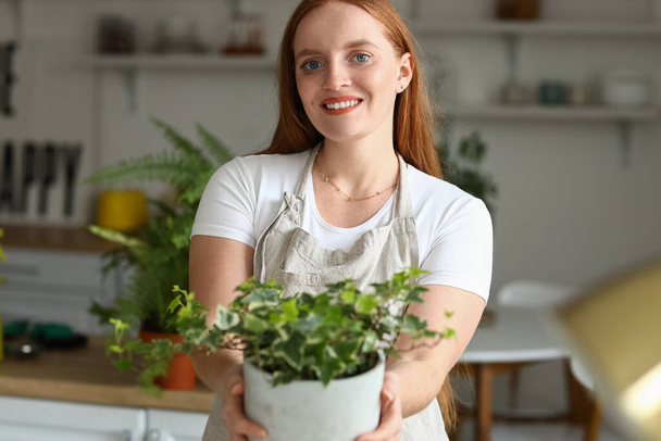 Молода жінка з зеленим кімнатним рослиною на кухні
 - Фото, зображення