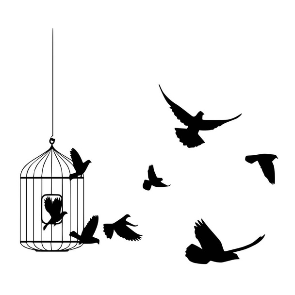 Vector silhouette of birds freedom on white background - Vektor, Bild