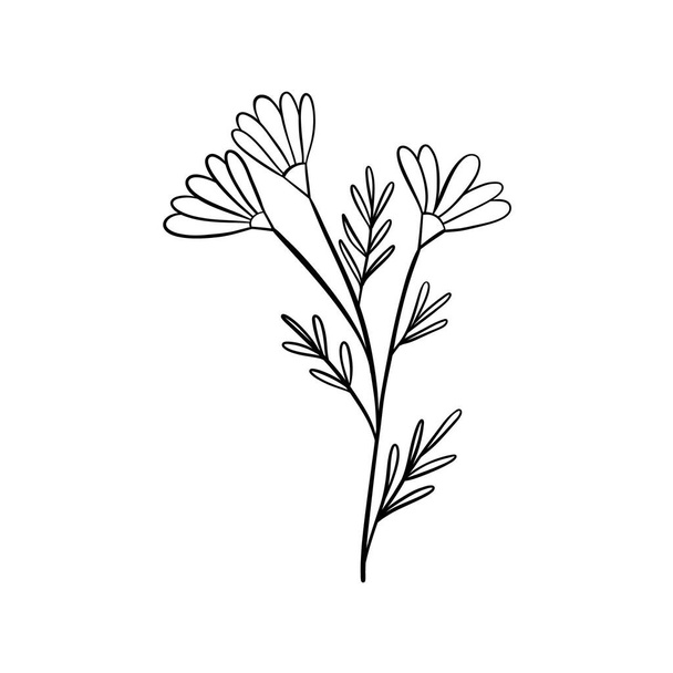 白い背景に隔離された草、花、ハーブの黒いシルエット。手描きのスケッチ花や昆虫. - ベクター画像