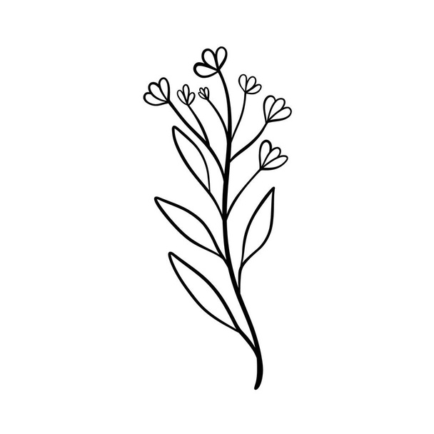 Black silhouettes of grass, flowers and herbs isolated on white background. Hand drawn sketch flowers and insects. - Vetor, Imagem
