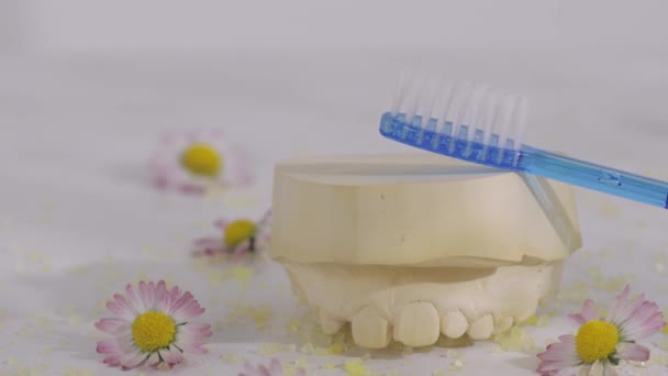 Tandartsgips en blauwe tandenborstel erop. Sluitingsdatum - Video